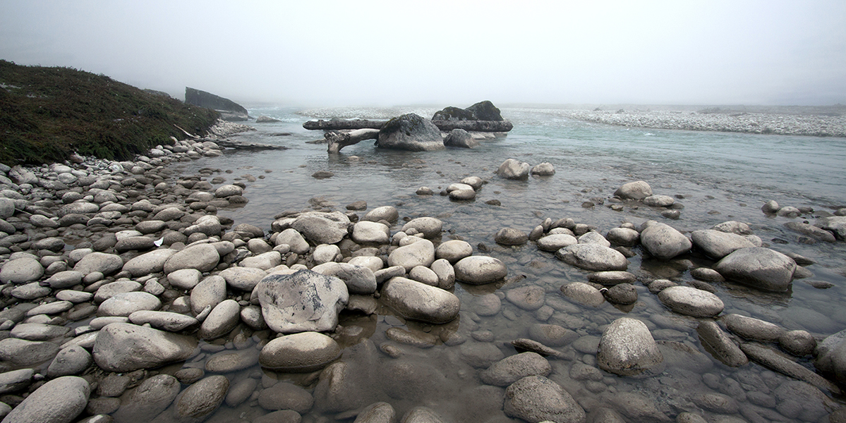 Stacks Image 24